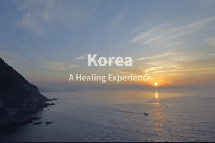 video Video Korea Medical & Wellness