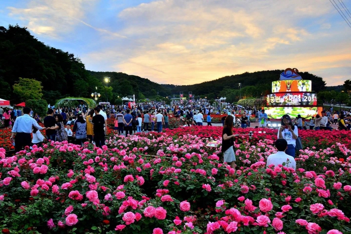 Festival Ulsan Grand Park Rose