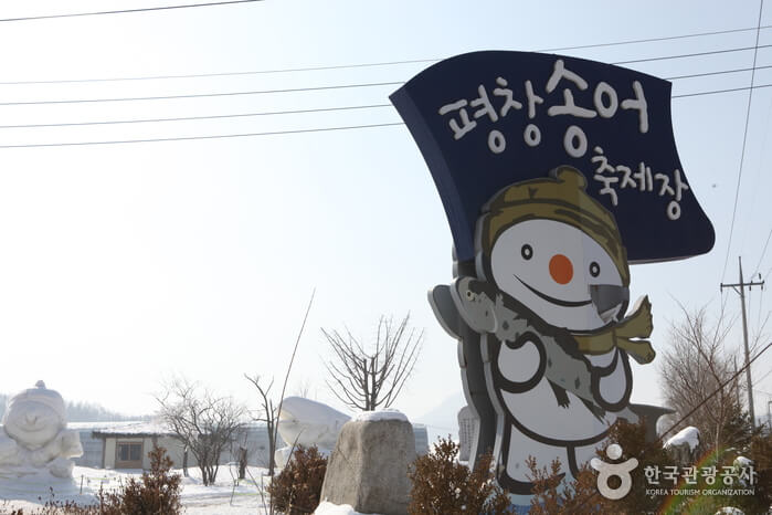 Festival Trout Pyeongchang (평창송어축제)