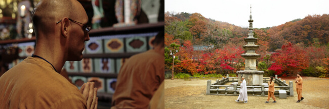 Pengalaman Menarik di Kuil Tradisional Korea! Program Templestay Khusus bagi Wisatawan Asing