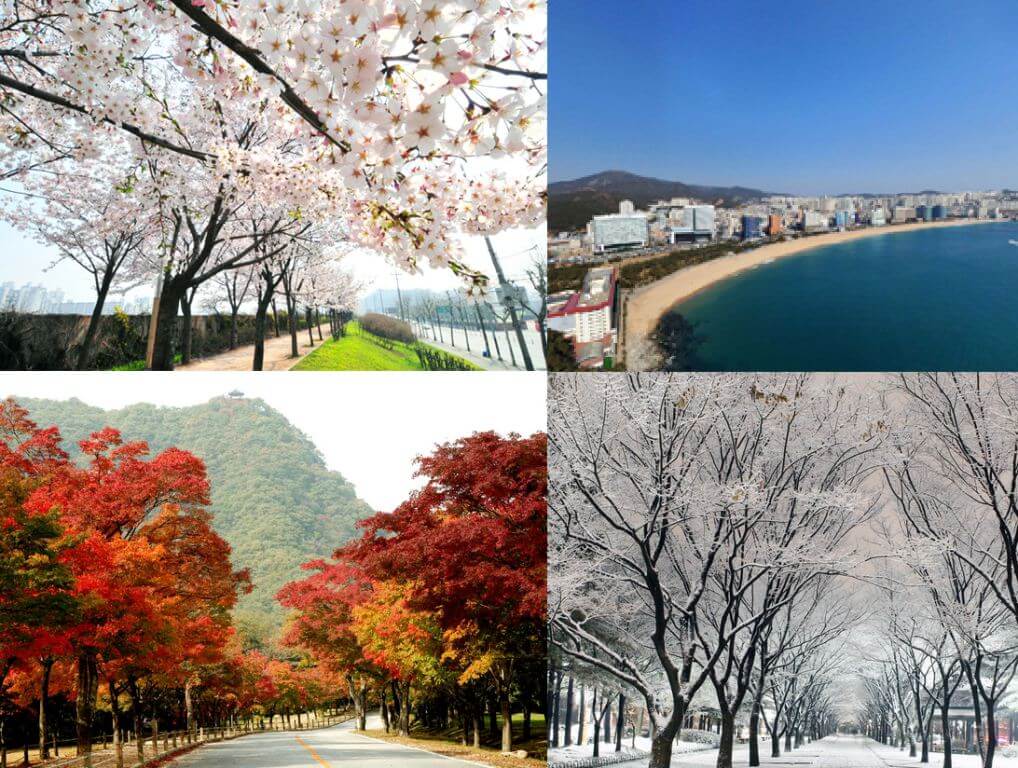 4 Musim di Korea