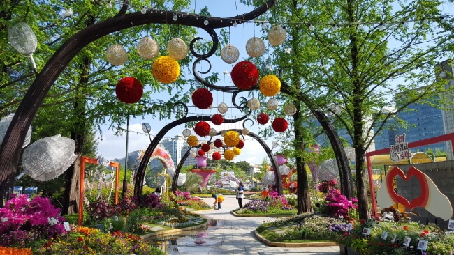 Bunga-Bunga Indah Tersebar di Seantero Hortikultura Internasional Goyang Korea