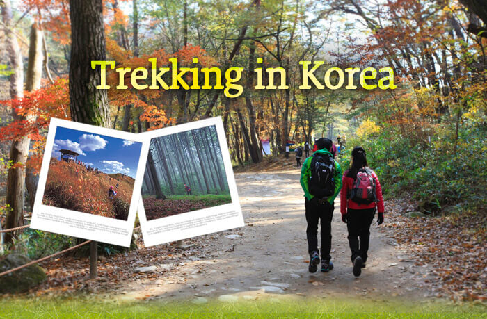 Rekomendasi Jalur Trekking di Korea Berdasarkan Tema - Yeongnam Alps