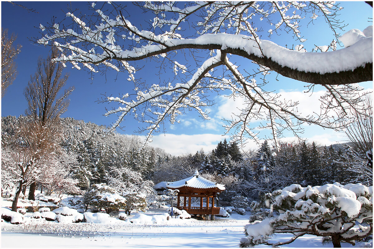 Musim Dingin di Korea
