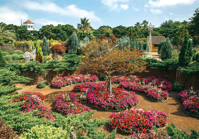 Jeju Herb Dongsan (Herb Garden)
