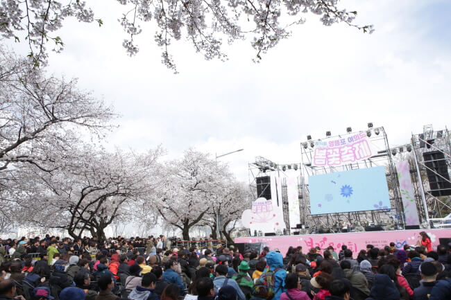 Menikmati Bunga di Festival Bunga Musim Semi Yeouido Yeongdeungpo!