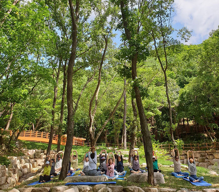 National Center for Forest Therapy Daeunsan