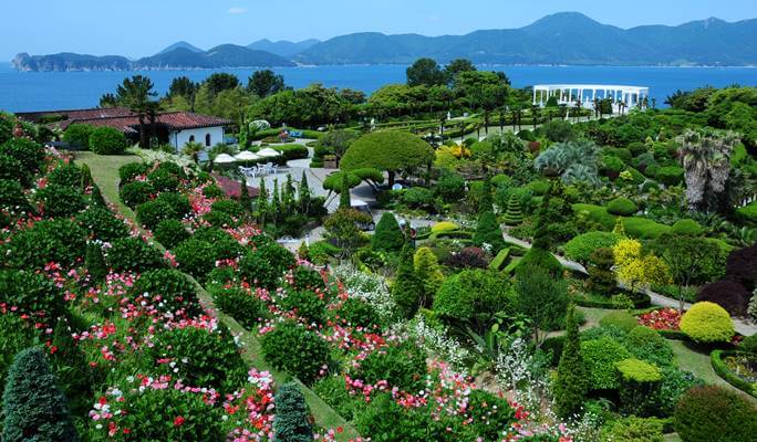 Tur 1 Hari Kebun Botani Pulau Oedo dari Busan