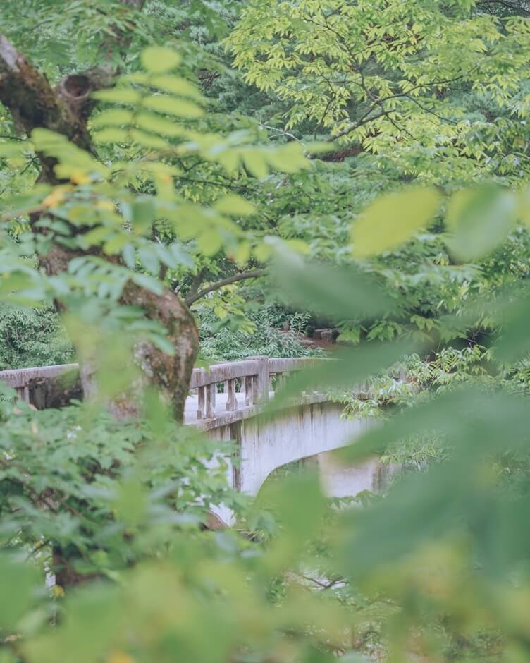 Saya akan menginap di Cheongdo, di mana alam hijau bernafas: Fresh Hill, Cheongdo