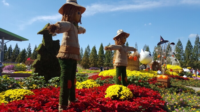 Festival Bunga Musim Gugur Goyang (고양가을꽃축제)