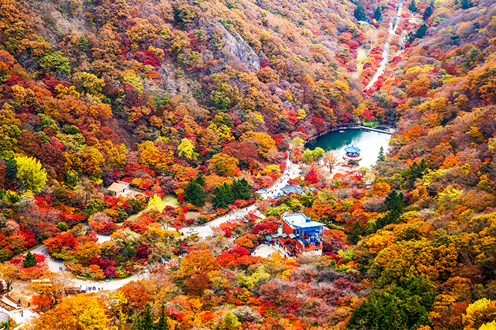 5 Situs Wisata Musim Gugur TERBAIK Korea