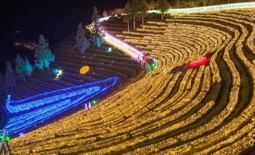 Cahaya Menghiasi Festival Cahaya Perkebunan Teh Boseong
