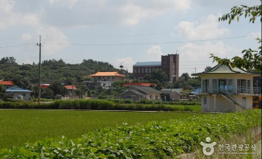 Photo_Desa Dalgogae Mosi (Kain Rami) Seocheon (서천 달고개모시마을)