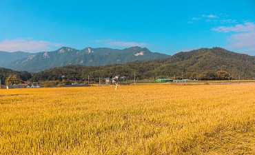Photo_Mencari Perjalanan Tak Terlupakan Di Pedesaan Korea? Yuk ke Geochang!
