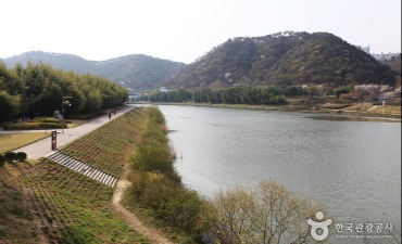 Photo_Taman Nasional Taehwagang