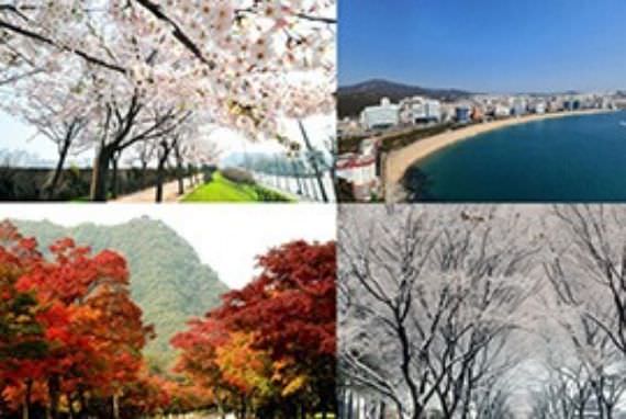 4 Musim di Korea