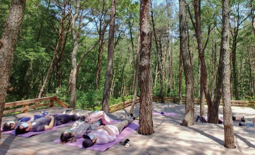 Photo_Busan Healing Forest