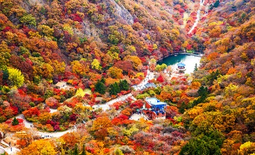 Photo_5 Situs Wisata Musim Gugur TERBAIK Korea