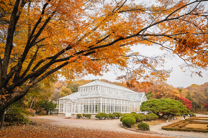 Photo_Rumah Kaca Besar di Istana Changgyeonggung