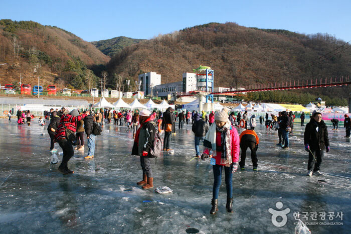 Photo_ Enjoy Korea Ski Resort & Hwacheon Ice Fishing + Jeju + Nami Island (bonus : Everland) (7D5N)