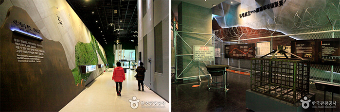 Photo_Museum DMZ Goseong 8