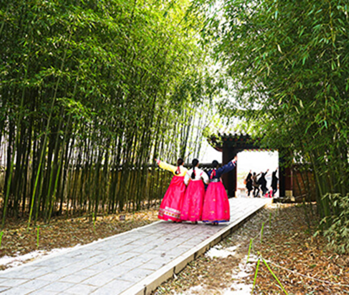 Photo_ Area rumpun bambu yang menjadi tempat populer untuk berfoto
