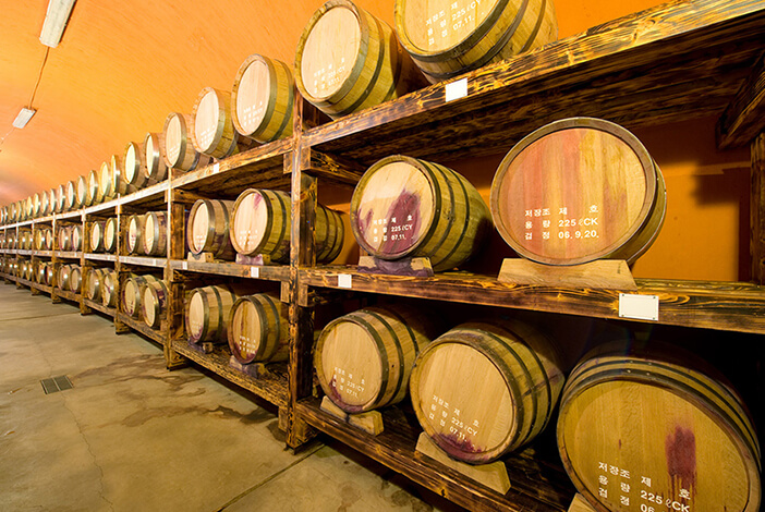 Photo_Terowongan penyimpanan anggur 