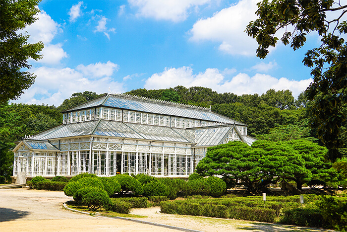 Photo_Rumah kaca Istana Changgyeonggung