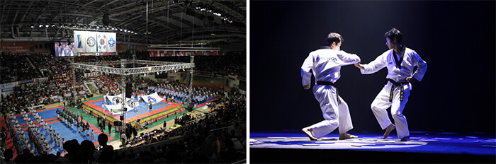 Photo_World Taekwondo Hanmadang