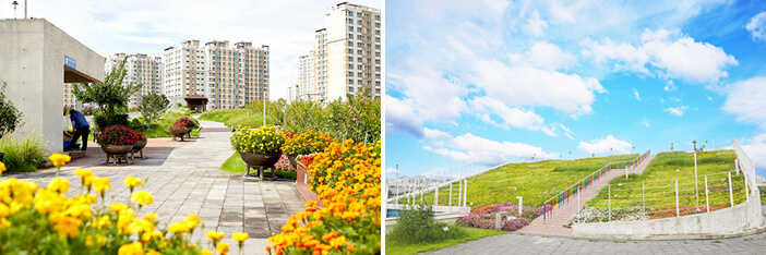 Photo_Taman Atap Kompleks Pemerintah Sejong 1