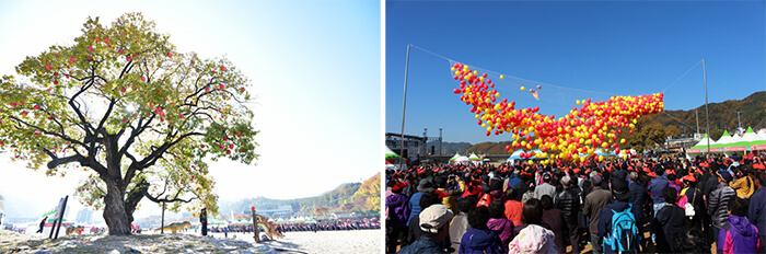 Photo_Festival Apel Cheongsong