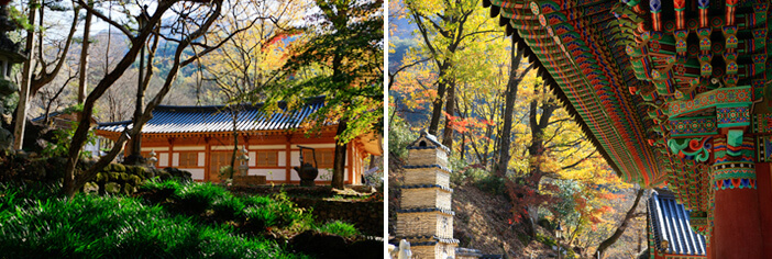 Photo_Dedaunan musim gugur Gunung Jirisan dan Kuil Ssanggyesa 1