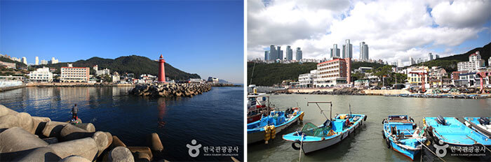 Photo_Pelabuhan Cheongsapo 4