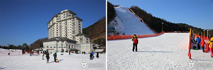 Photo_Elysian Gangchon Ski Resort 4