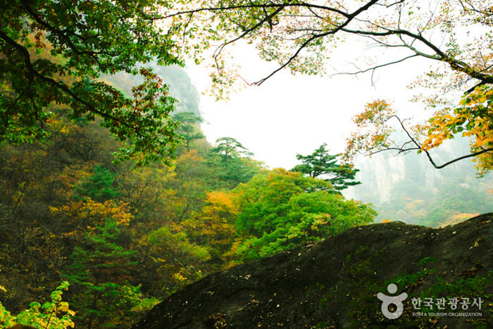 Photo_As-Salam Korea + Mt Sorak