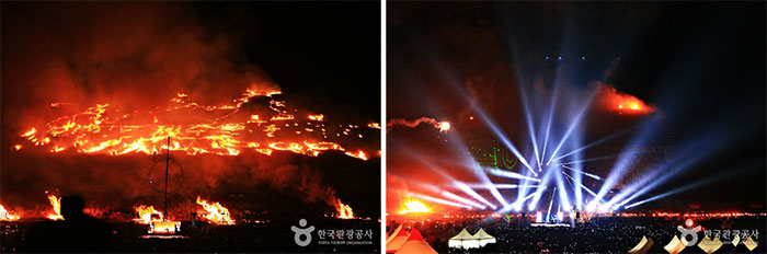 Photo_Festival Api Jeju