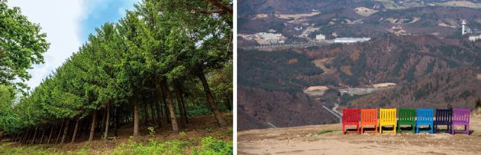 Photo_Yong Pyong Resort Barwangsan Mountain