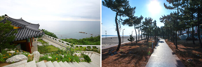 Photo_Kuil Naksansa (kiri), dan Jalur Hutan Pinus Pantai Naksan