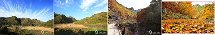 Photo_Taman Nasional Juwangsan 6