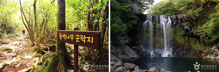 Photo_Zona Wisata Khusus Pulau Jeju 1