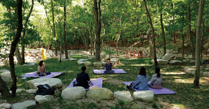 Photo_National Center for Forest Therapy Daeunsan