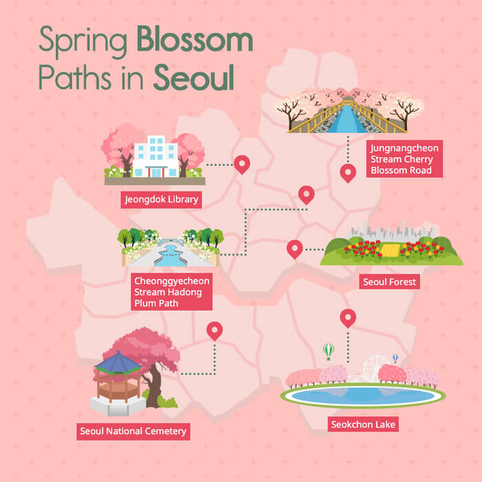 Photo_Jalur Bunga Musim Semi di Seoul