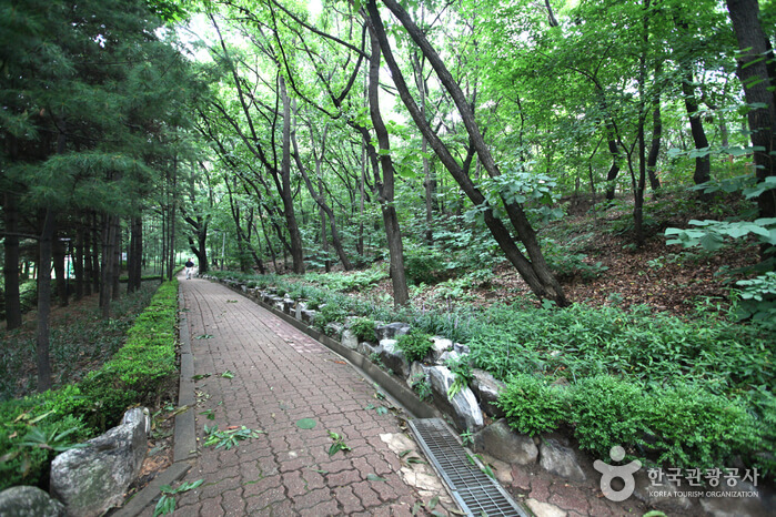 Photo_Taman Cheongdam