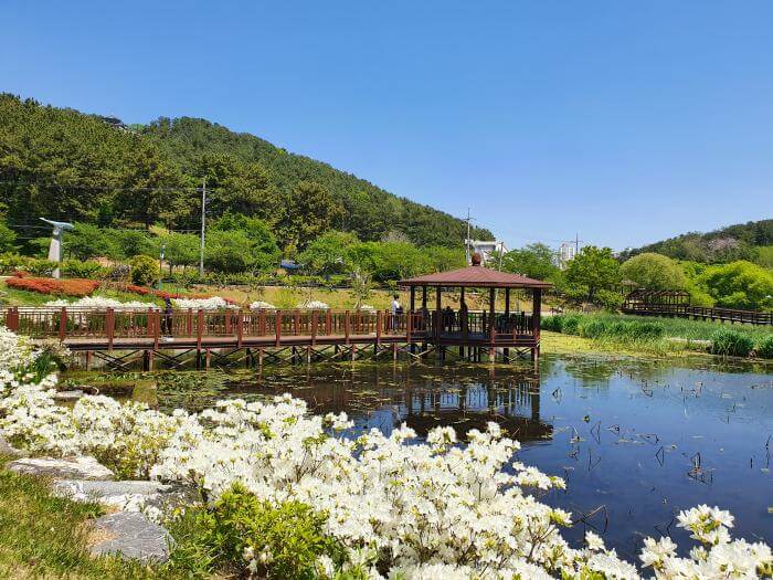 Photo_Seonam Lake Park