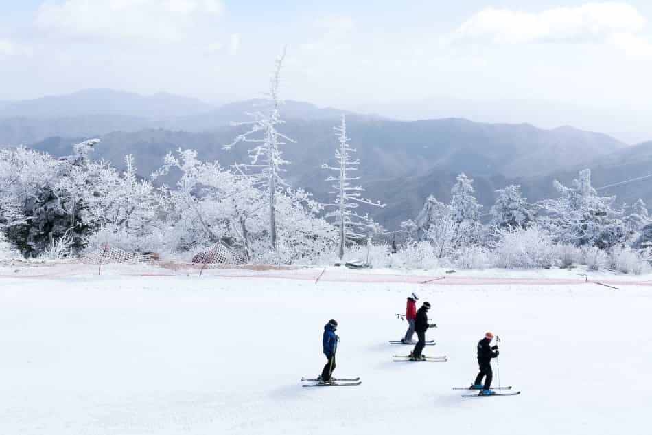12 Resor Ski untuk Menghabiskan Musim Dingin yang Menyenangkan di Korea-13