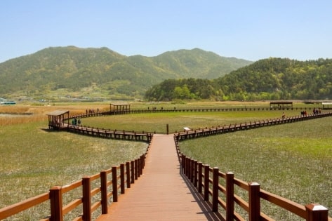 Suncheon Pameran Taman Internasional + 5 Atraksi Terbaik-10
