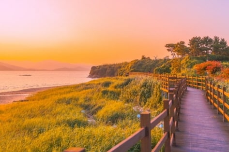 Suncheon Pameran Taman Internasional + 5 Atraksi Terbaik-19