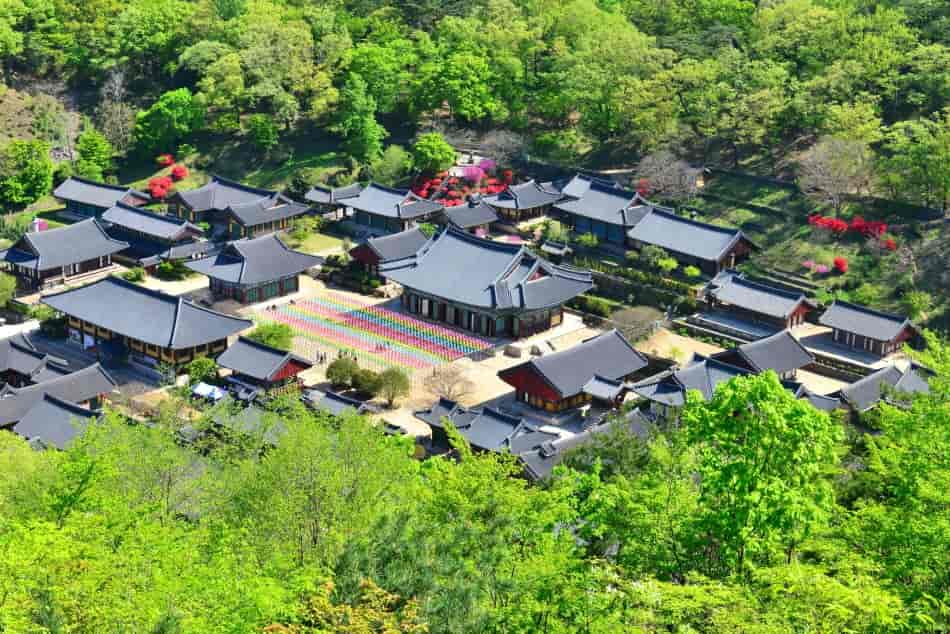 Suncheon Pameran Taman Internasional + 5 Atraksi Terbaik-15